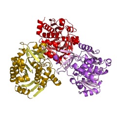 Example Structure of 2-dehydro-3-deoxyglucono/galactono-kinase EC#: 2.7.1.178