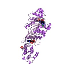 Example Structure of polymannosyl GlcNAc-diphospho-ditrans,octacis-undecaprenol kinase EC#: 2.7.1.181