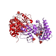 Example Structure of mevalonate 3-kinase EC#: 2.7.1.185