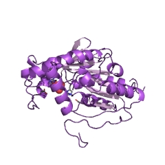 Example Structure of phosphoribulokinase EC#: 2.7.1.19