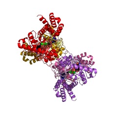 Example Structure of aminoglycoside 2''-phosphotransferase EC#: 2.7.1.190