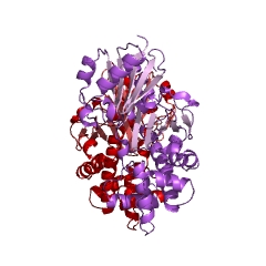 Example Structure of glucokinase EC#: 2.7.1.2