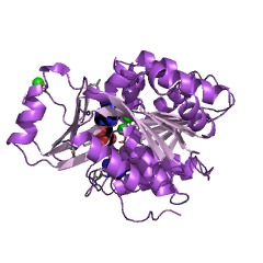 Example Structure of adenosine kinase EC#: 2.7.1.20