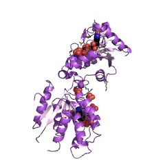 Example Structure of ribosylnicotinamide kinase EC#: 2.7.1.22