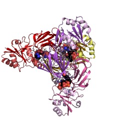 Example Structure of NAD+ kinase EC#: 2.7.1.23