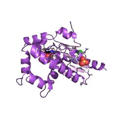 Example Structure of dephospho-CoA kinase EC#: 2.7.1.24