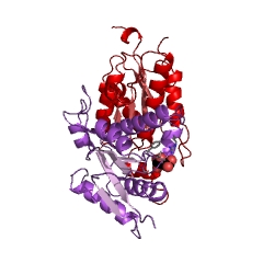 Example Structure of adenylyl-sulfate kinase EC#: 2.7.1.25