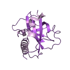 Example Structure of riboflavin kinase EC#: 2.7.1.26