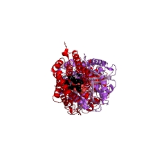 Example Structure of glycerone kinase EC#: 2.7.1.29