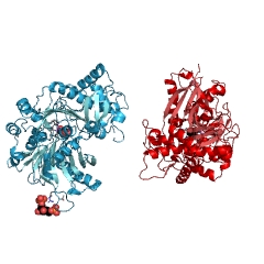 Example Structure of glycerol kinase EC#: 2.7.1.30
