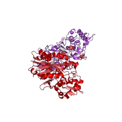 Example Structure of glycerate 3-kinase EC#: 2.7.1.31