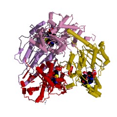Example Structure of pantothenate kinase EC#: 2.7.1.33