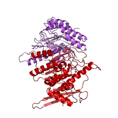 Example Structure of pyridoxal kinase EC#: 2.7.1.35