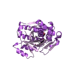 Example Structure of mevalonate kinase EC#: 2.7.1.36
