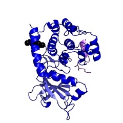 Example Structure of protein kinase EC#: 2.7.1.37