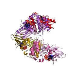 Example Structure of homoserine kinase EC#: 2.7.1.39