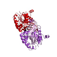 Example Structure of 2-dehydro-3-deoxygluconokinase EC#: 2.7.1.45