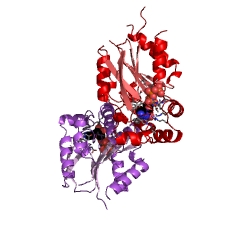 Example Structure of uridine kinase EC#: 2.7.1.48