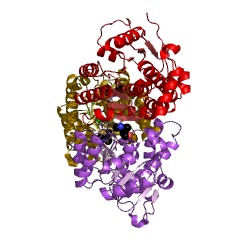 Example Structure of hydroxyethylthiazole kinase EC#: 2.7.1.50