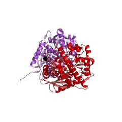 Example Structure of L-fuculokinase EC#: 2.7.1.51