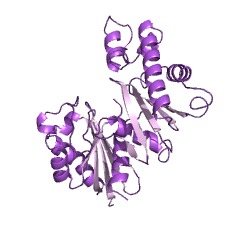 Example Structure of allose kinase EC#: 2.7.1.55