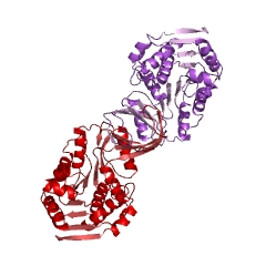 Example Structure of 1-phosphofructokinase EC#: 2.7.1.56