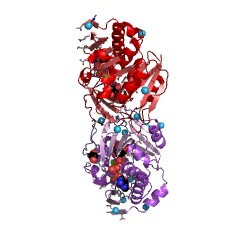 Example Structure of inositol 3-kinase EC#: 2.7.1.64