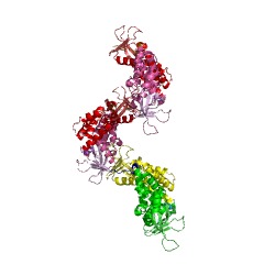 Example Structure of 1-phosphatidylinositol-4-phosphate 5-kinase EC#: 2.7.1.68