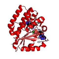 Example Structure of deoxycytidine kinase EC#: 2.7.1.74