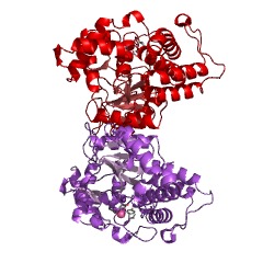 Example Structure of ethanolamine kinase EC#: 2.7.1.82