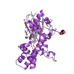 Example Structure of beta-glucoside kinase EC#: 2.7.1.85