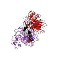 Example Structure of NADH kinase EC#: 2.7.1.86