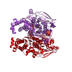 Example Structure of diphosphate-fructose-6-phosphate 1-phosphotransferase EC#: 2.7.1.90
