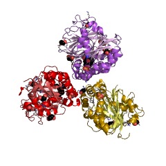 Example Structure of sphingosine kinase EC#: 2.7.1.91