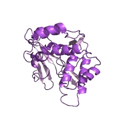 Example Structure of kanamycin kinase EC#: 2.7.1.95