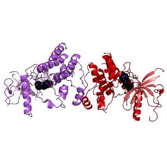 Example Structure of receptor protein-tyrosine kinase EC#: 2.7.10.1