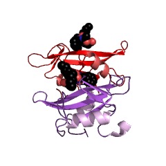 Example Structure of non-specific protein-tyrosine kinase EC#: 2.7.10.2