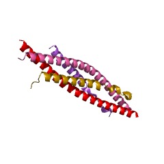 Example Structure of IkappaB kinase EC#: 2.7.11.10