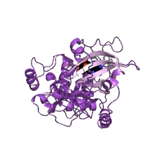 Example Structure of cAMP-dependent protein kinase EC#: 2.7.11.11