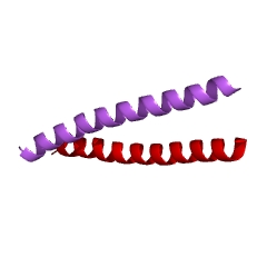 Example Structure of cGMP-dependent protein kinase EC#: 2.7.11.12
