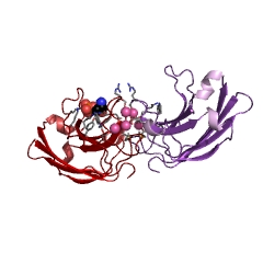Example Structure of protein kinase C EC#: 2.7.11.13