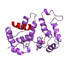 Example Structure of rhodopsin kinase EC#: 2.7.11.14