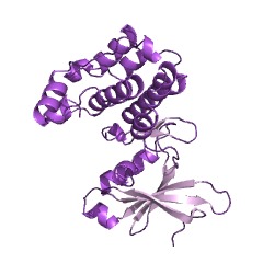 Example Structure of [hydroxymethylglutaryl-CoA reductase (NADPH)] kinase EC#: 2.7.11.31