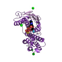 Example Structure of [3-methyl-2-oxobutanoate dehydrogenase (acetyl-transferring)] kinase EC#: 2.7.11.4