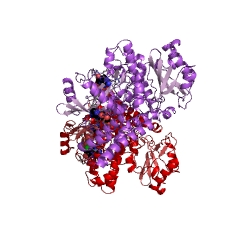 Example Structure of [Isocitrate dehydrogenase (NADP+)] kinase EC#: 2.7.11.5