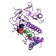 Example Structure of myosin-heavy-chain kinase EC#: 2.7.11.7