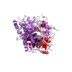 Example Structure of aspartate kinase EC#: 2.7.2.4