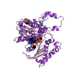 Example Structure of butyrate kinase EC#: 2.7.2.7