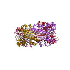 Example Structure of guanidinoacetate kinase EC#: 2.7.3.1