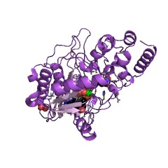 Example Structure of arginine kinase EC#: 2.7.3.3